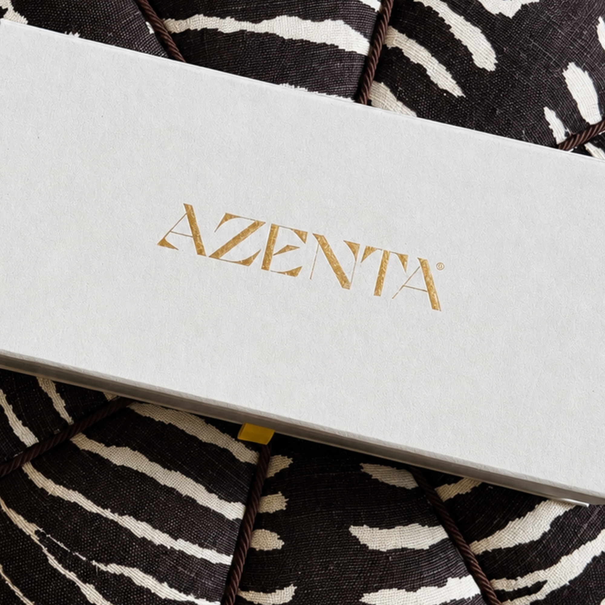 THE LIMITED EDITION BOX